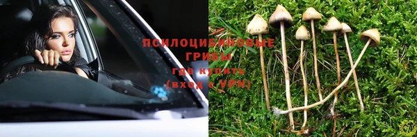 мескалин Надым